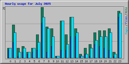 Hourly usage for July 2025