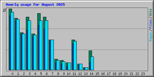 Hourly usage for August 2025