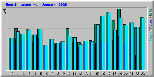 Hourly usage for January 2026